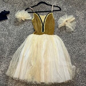 Ballet Dance Costume